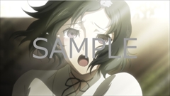 画像ギャラリー No.016のサムネイル画像 / 「STEINS;GATE ELITE」の初回特典が発表。Switch版がファミコン風ADV「シュタゲ」,PS4版とVita版がフルHD版「フェノグラム」に決定