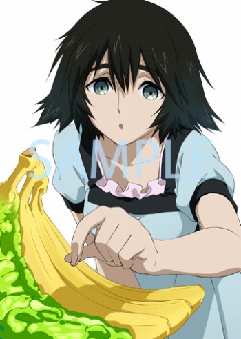 画像ギャラリー No.012のサムネイル画像 / 「STEINS;GATE ELITE」の発売日が9月20日に決定。初回封入特典に「新作カット特製フィルム」が追加