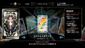 画像ギャラリー No.022のサムネイル画像 / 「ドラゴンズクラウン・プロ」，プレイヤーが操るキャラクター6人やスキルの特徴を紹介する第2報を掲載