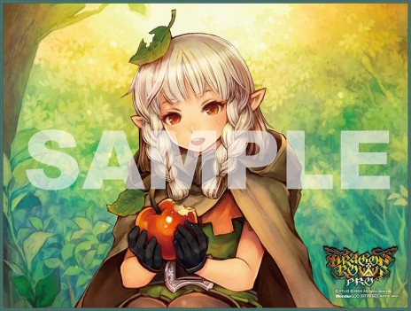 画像ギャラリー No.013のサムネイル画像 / 「ドラゴンズクラウン・プロ」新録BGMの試聴動画と，キャラクター「アマゾン」の紹介動画が公開に。11月19日開催「スペシャル体験会」の情報も