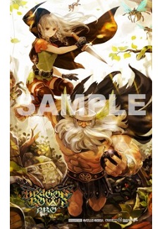 画像ギャラリー No.015のサムネイル画像 / 「ドラゴンズクラウン・プロ」新録BGMの試聴動画と，キャラクター「アマゾン」の紹介動画が公開に。11月19日開催「スペシャル体験会」の情報も