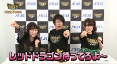画像ギャラリー No.001のサムネイル画像 / 「ドラゴンズクラウン・プロ」公式Web番組の第4回が配信