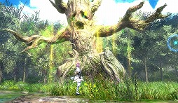 画像ギャラリー No.002のサムネイル画像 / ［TGS 2017］「アヴァベルオンライン-絆の塔-」のマルチプラットフォーム展開が発表に。Nintendo Switch/PlayStation 4/PC版が開発中