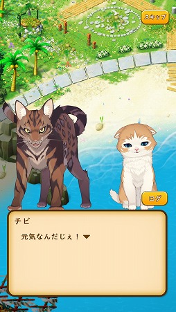 画像ギャラリー No.007のサムネイル画像 / 猫好きにはたまらないマッチ3パズル「ねこ島日記 〜猫と島で暮らすパズル・ゲーム〜」を紹介する「(ほぼ)日刊スマホゲーム通信」第1569回