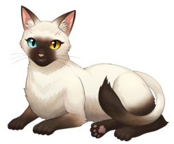 画像ギャラリー No.003のサムネイル画像 / 「ねこ島日記」で新ねこイベント「K・O・Iのとらいあんぐる」が開催中
