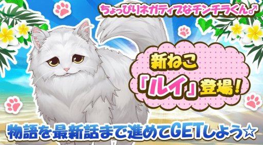 画像ギャラリー No.004のサムネイル画像 / 「ねこ島日記」,最大2100コインが貰える“夏のログインキャンペーン”開催