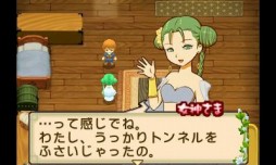 画像ギャラリー No.029のサムネイル画像 / 「牧場物語 ふたごの村+」プレイレポート。リメイクを経てより遊びやすく,シリーズ初心者でも迷わず遊べる作品に