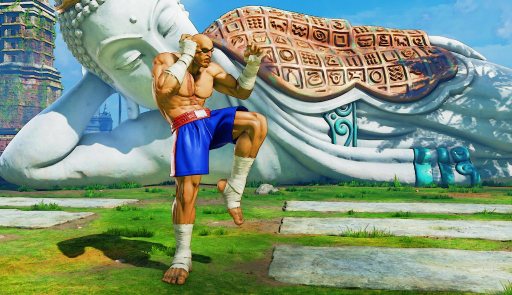 画像ギャラリー No.036のサムネイル画像 / 【速報】［EVO2018］「ストリートファイターV 」の追加キャラクター“G”と“サガット”が8月7日に配信開始