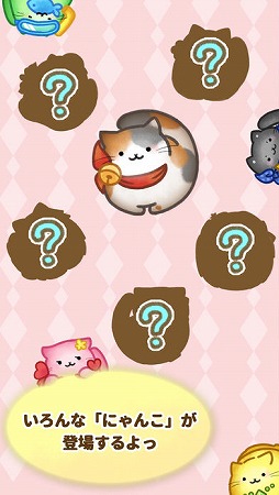 にゃんこね