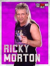 画像ギャラリー No.016のサムネイル画像 / 「WWE 2K18」のDLC“Enduring Icons Pack”が配信開始。スーパースターとレジェンドが参戦