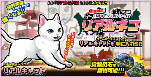 画像ギャラリー No.001のサムネイル画像 / 「ぼくとネコ」,“リアルネコ”とのコラボイベントがスタート
