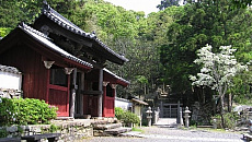 画像ギャラリー No.008のサムネイル画像 / 「Ghost of Tsushima」を手掛けたJason Connell氏とNate Fox氏が対馬市の永久アンバサダーに就任。授与式の動画が公開