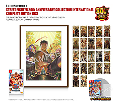 画像ギャラリー No.014のサムネイル画像 / 「ストリートファイター 30th アニバーサリーコレクション インターナショナル」は日本版と海外版の両方を収録し10月25日に国内発売へ