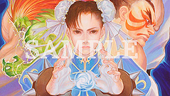 画像ギャラリー No.018のサムネイル画像 / 「ストリートファイター 30th アニバーサリーコレクション インターナショナル」は日本版と海外版の両方を収録し10月25日に国内発売へ