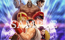 画像ギャラリー No.019のサムネイル画像 / 「ストリートファイター 30th アニバーサリーコレクション インターナショナル」は日本版と海外版の両方を収録し10月25日に国内発売へ