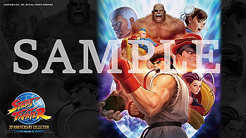 画像ギャラリー No.020のサムネイル画像 / 「ストリートファイター 30th アニバーサリーコレクション インターナショナル」は日本版と海外版の両方を収録し10月25日に国内発売へ