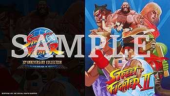 画像ギャラリー No.024のサムネイル画像 / 「ストリートファイター 30th アニバーサリーコレクション インターナショナル」は日本版と海外版の両方を収録し10月25日に国内発売へ