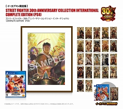 画像ギャラリー No.006のサムネイル画像 / 「ストリートファイター 30th アニバーサリーコレクション」,イーカプコン限定版の特典デザインが公開