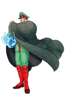 画像ギャラリー No.034のサムネイル画像 / 「ストリートファイター 30th アニバーサリーコレクション インターナショナル」,プロフィールとメイキング機能の情報を公開