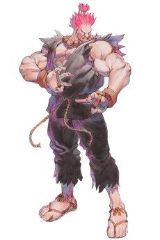 画像ギャラリー No.040のサムネイル画像 / 「ストリートファイター 30th アニバーサリーコレクション インターナショナル」,プロフィールとメイキング機能の情報を公開