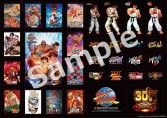 画像ギャラリー No.004のサムネイル画像 / 「鬼武者」など3タイトルが遊べる店頭体験会が追加開催。12月1日と2日,ビックカメラ あべのキューズモール店にて