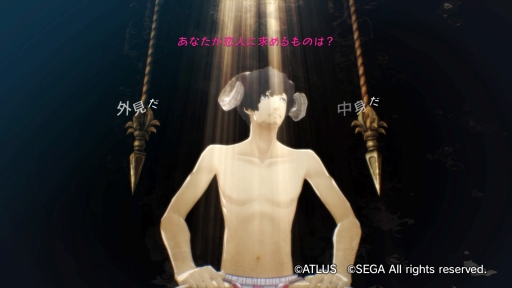 画像ギャラリー No.036のサムネイル画像 / 本日発売「キャサリン・フルボディ」プレイレポート。“エンディング保証”は真実か――パズルが苦手なゲーマーがトライしてみた