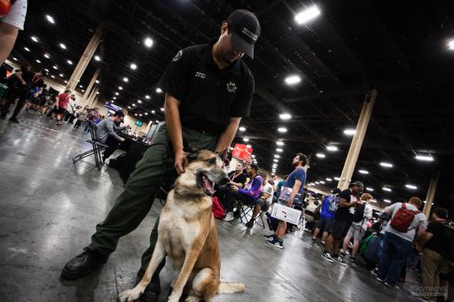 画像ギャラリー No.077のサムネイル画像 / ［EVO2019］年に一度の格ゲー祭「EVO2019」，初日Twitterまとめ。ソウルキャリバーVIの決勝は日本時間の12：00から