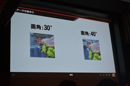 画像ギャラリー No.027のサムネイル画像 / ［CEDEC 2019］さまざまなIPのキャラがフェアに対戦するための工夫とは。「大乱闘スマッシュブラザーズ SPECIAL」の絵作りを開発陣が語る