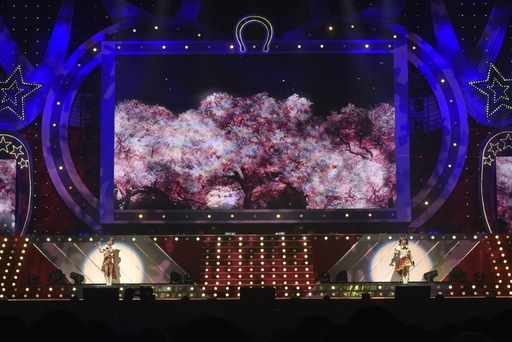 画像ギャラリー No.016のサムネイル画像 / 「ウマ娘 4th EVENT」東京公演 DAY2をレポート。ダイワスカーレット＆ナリタトップロードが，まさかの逃げシス加入？