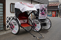 画像ギャラリー No.003のサムネイル画像 / 「新サクラ大戦」のラッピング人力車が浅草の街を走る。「新サクラ大戦 the Stage」のさくら役・関根優那さんが人生初の人力車を体験