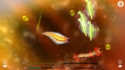 画像ギャラリー No.003のサムネイル画像 / 深海でいろいろな水生生物を育てよう。Nintendo Switch向けソフト「進化のひみつ」が5月17日に配信開始