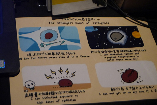 画像ギャラリー No.030のサムネイル画像 / 「BitSummit Vol.6」の注目インディーズゲーム10本を紹介。PS4用スタイリッシュACTやクマムシ研究アプリ，カニがケンカするPCゲームなど