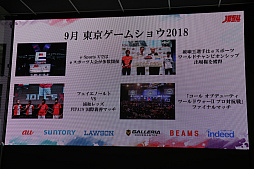 画像ギャラリー No.008のサムネイル画像 / JeSUが今後の展開を明らかにした記者会見をレポート。AESFと共同で「eSPORTS 国際チャレンジカップ 〜日本代表vsアジア選抜〜」を開催へ