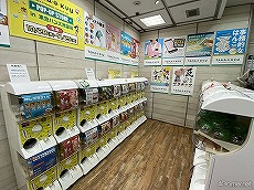 画像ギャラリー No.003のサムネイル画像 / 独占コメント＆写真あり！　「アルゴナビス from BanG Dream! AAside ナビストリーム〜AGF出張版〜」レポート