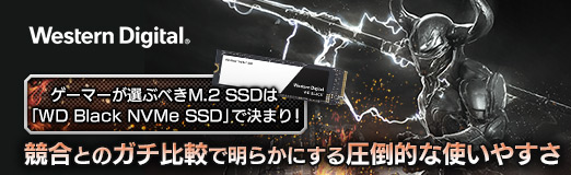 画像ギャラリー No.026のサムネイル画像 / 【PR】ゲーマーが選ぶべきM.2 SSDは「WD Black NVMe SSD」で決まり! 競合とのガチ比較で明らかにする圧倒的な使いやすさ