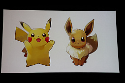 画像ギャラリー No.028のサムネイル画像 / ポケモン新作発表会詳報。「ポケットモンスター Let's GO！ ピカチュウ・イーブイ」「ポケモンクエスト」に加えて，2019年後半にシリーズ完全新作をリリース
