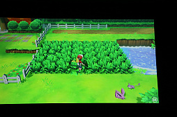 画像ギャラリー No.035のサムネイル画像 / ポケモン新作発表会詳報。「ポケットモンスター Let's GO！ ピカチュウ・イーブイ」「ポケモンクエスト」に加えて，2019年後半にシリーズ完全新作をリリース