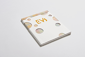 画像ギャラリー No.005のサムネイル画像 / イーブイ＆進化形9匹がクリエイター9組とコラボ。「Evs＋cafe」（イーブイズ プラス カフェ）が六本木で9月1日から期間限定オープン