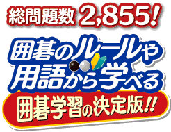 画像ギャラリー No.005のサムネイル画像 / 「遊んで囲碁が強くなる!銀星囲碁DX」,Steamにて本日配信開始