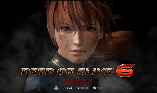 画像ギャラリー No.002のサムネイル画像 / 「DEAD OR ALIVE 6」プロデューサー兼ディレクター，新堀洋平氏にEVO2018会場でインタビュー。現在の開発状況は「20％前後」