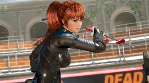 画像ギャラリー No.005のサムネイル画像 / 「DEAD OR ALIVE 6」プロデューサー兼ディレクター，新堀洋平氏にEVO2018会場でインタビュー。現在の開発状況は「20％前後」