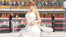 画像ギャラリー No.021のサムネイル画像 / 「DEAD OR ALIVE 6」が本日全世界同時発売。衣装など各種DLCをお得な価格で入手できる「シーズンパス1」の先行販売も