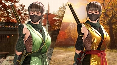 画像ギャラリー No.002のサムネイル画像 / 「DEAD OR ALIVE 6」，「NINJA GAIDEN」15周年を記念し，9月19日に追加キャラクターとして「紅葉」が参戦決定