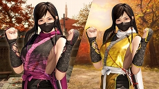 画像ギャラリー No.006のサムネイル画像 / 「DEAD OR ALIVE 6」，「NINJA GAIDEN」15周年を記念し，9月19日に追加キャラクターとして「紅葉」が参戦決定