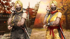 画像ギャラリー No.018のサムネイル画像 / 「DEAD OR ALIVE 6」に「NINJA GAIDEN」シリーズから「紅葉」が参戦。基本無料版で「リュウ・ハヤブサ」「あやね」の無料開放キャンペーンも