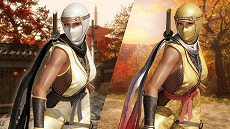 画像ギャラリー No.025のサムネイル画像 / 「DEAD OR ALIVE 6」に「NINJA GAIDEN」シリーズから「紅葉」が参戦。基本無料版で「リュウ・ハヤブサ」「あやね」の無料開放キャンペーンも