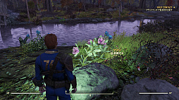 画像ギャラリー No.046のサムネイル画像 / 「Fallout 76」のβテストをレポート。オンライン専用のウェイストランドでは“懐かしくて新しい”生活が,Vault居住者を待っている