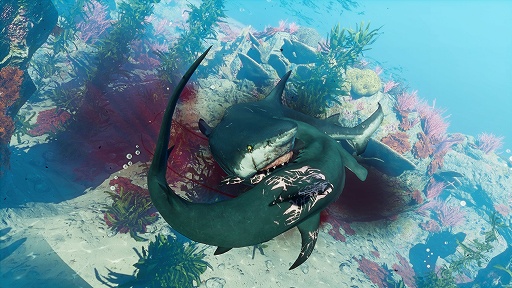 画像ギャラリー No.015のサムネイル画像 / サメが主人公のRPG「Maneater」を5月22日の発売前に体験。海を汚す人間共に復讐せよ!