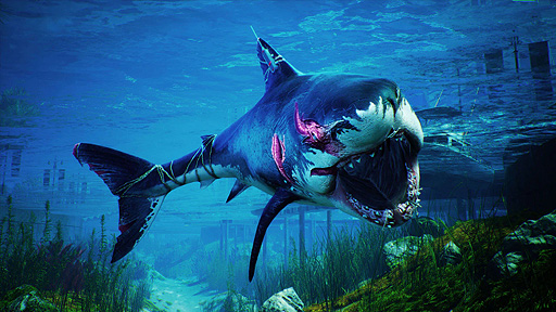 画像ギャラリー No.004のサムネイル画像 / サメゲー「Maneater」の無料配布がEpic Gamesストアでスタート。サメとなって頂点捕食者となるべく暴れ回るオープンワールドアクションRPG