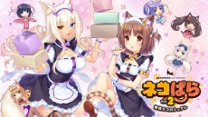 画像ギャラリー No.003のサムネイル画像 / 「ネコぱら」シリーズや「ミラクルスイーツショップ」がお得な価格に。PC/PS4/Switchを対象にした“CFK SUMMER SALE”本日開始